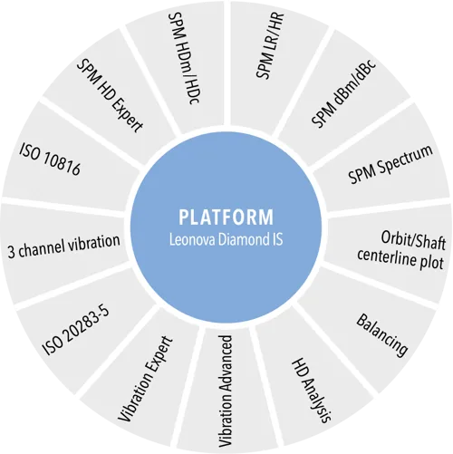 An illustration of a circle with the text 'Platform - Leonova Diamond IS' in the center, surrounded by various segments representing the platform's features.